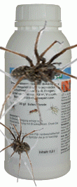 Spinnenbekämpfung Spritzmittel bekämpft Spinnen bis zu 12 Wochen, wässriges Emulsion